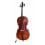 Viole Violoncelli e Contrabbassi