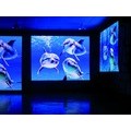 Schermi e Display Led