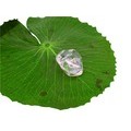 Rocce ed Idee Decorative