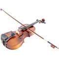 Violini