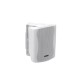 OMNITRONIC C-50,5 Speaker Set Bianco - Sistema PA per Installazioni Fisse