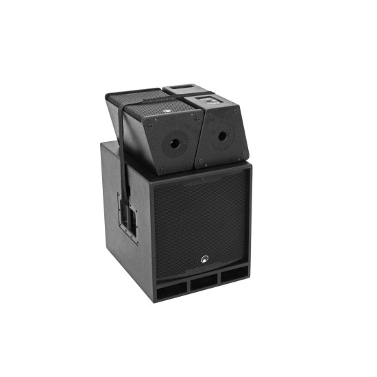 OMNITRONIC MAXX-1810: Diffusori Passivi 2 Vie con Woofer 10