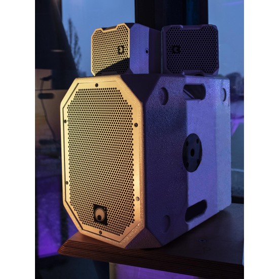 Omnitronic BOB-10A Subwoofer Attivo Bianco con DSP e Bluetooth - 900W per DJ e Eventi