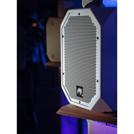 Omnitronic BOB-10A Subwoofer Attivo Bianco con DSP e Bluetooth - 900W per DJ e Eventi