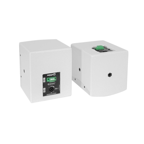 OMNITRONIC MOLLY-6 Top Bianco 2x - Altoparlanti Satellitari Professionali 6.5