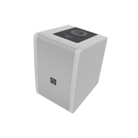 INTUSONIC 6FP100T Altoparlante Professionale 6,5