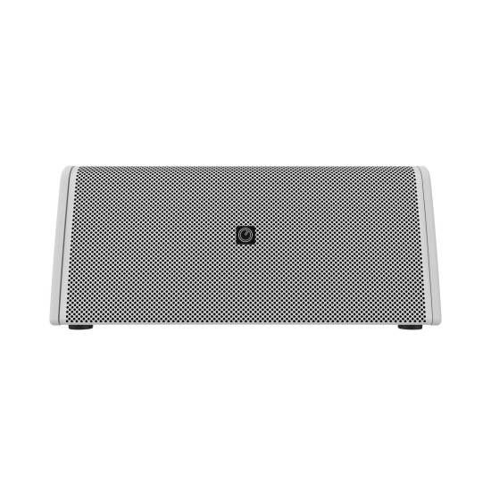 Subwoofer da Incasso Bianco INTUSONIC 8SM300T - 2x8