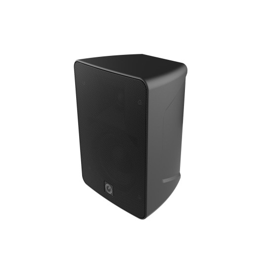 INTUSONIC 4FP40R Altoparlante da Esterni a 2 Vie Nero - Proiettore Audio per Eventi