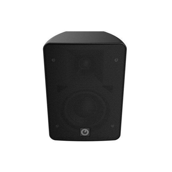 INTUSONIC 4FP40R Altoparlante da Esterni a 2 Vie Nero - Proiettore Audio per Eventi