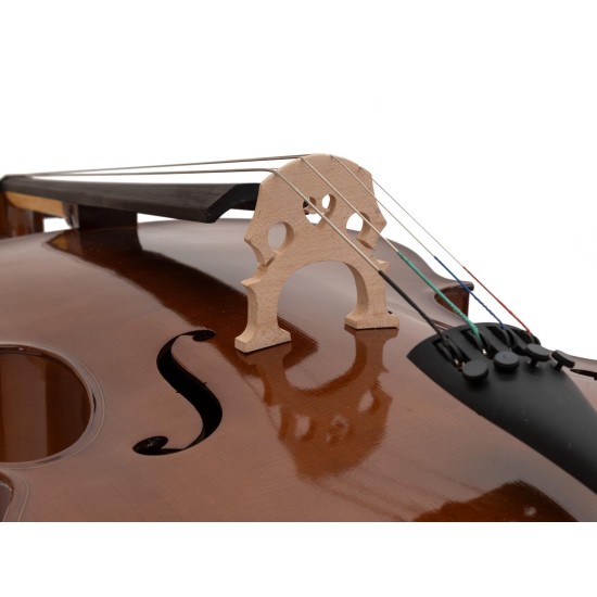 Violoncello DIMAVERY 4/4 con Soft Bag e Bordo a C, Arco in Crine Naturale