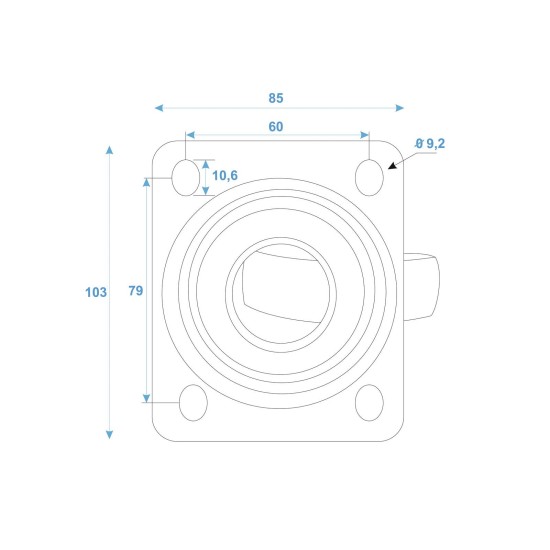 ROADINGER Ruota Girevole 100mm Blue Wheel - Alta Capacità di Carico