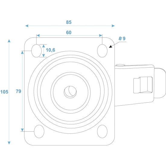 ROADINGER Ruota Girevole 100mm BLUE WHEEL con Freno a Doppia Funzione