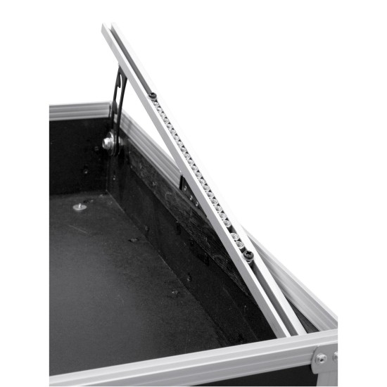 Custodia Rack Professionale ROADINGER MCV-19 per Mixer 19