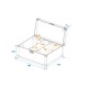 Custodia ROADINGER Highline per 2 LED CLS-9 QCL RGB/WW 9x7W - Flightcase Professionale