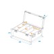 ROADINGER Flightcase per 4 LED PMB-4 COB QCL con Ruote - Custodia Professionale