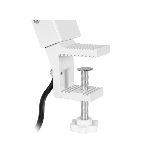 EUROLITE LED KKL-70 Floodlight 4200K Bianco - Proiettore LED da Palco con Effetto Luce DMX