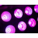 Pannello Eurolite LED Pixel Matrix 2x5 RGB/WW con Effetto Luce DMX e Controllo Pixel