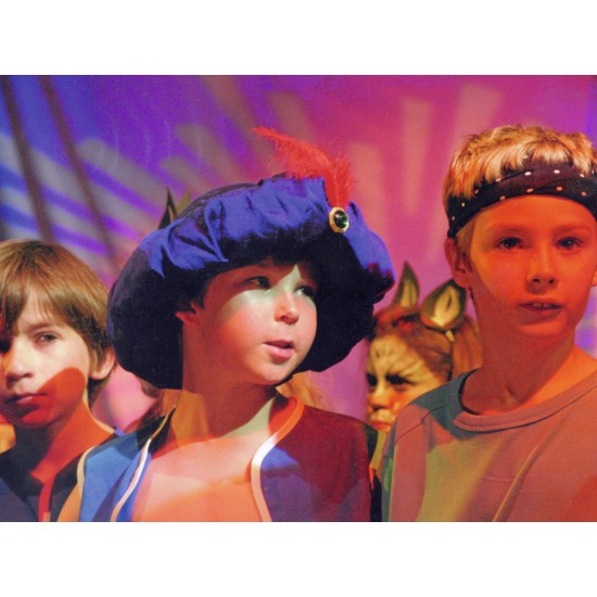 Faretto Teatro Fresnel Nero 300/500W - Regolabile 10° a 40°