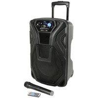 Impianto audio portatile cassa amplificata karaoke portatile Bluetooth, FM, USB, SD, MP3 e Microfono Wireless (10'')