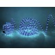 Flessibile EUROLITE RUBBERLIGHT RL1-230V Blu 9m - Illuminazione Decorativa Professionale