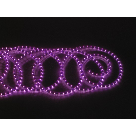 EUROLITE Rubberlight RL1-230V: Tubo Luminoso LED Viola/Fucsia 5m per Effetti Scenografici