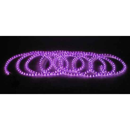 EUROLITE Rubberlight RL1-230V: Tubo Luminoso LED Viola/Fucsia 5m per Effetti Scenografici