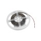 Striscia LED EUROLITE 5m 3528 4000K 12V - Alta resa cromatica CRI >90