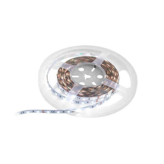 EUROLITE LED Strip 300 5m 3528 5700K 12V - Striscia LED Flessibile Ad Alta Resa Cromatica