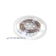 EUROLITE LED Strip 300 5m 3528 5700K 12V - Striscia LED Flessibile Ad Alta Resa Cromatica