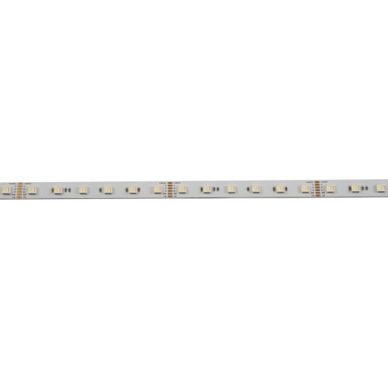 Eurolite LED Strip 5m 5050 RGB/WW/CW 24V - Striscia LED Flessibile per Illuminazione Decorativa