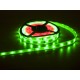 EUROLITE LED IP Pixel Strip 160 RGB 5m 12V - Striscia LED Digitale con Effetti DMX