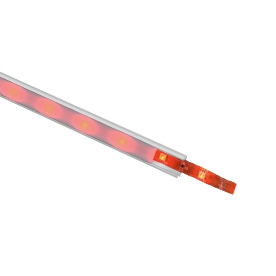 EUROLITE LED Strip 150 RGB 5m 5050 12V - Illuminazione Scenografica Flessibile