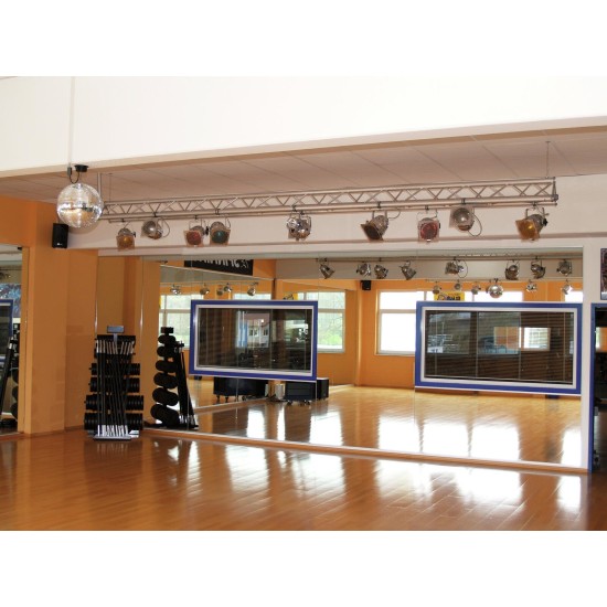 EUROLITE T-36 Pinspot Argento - Proiettore da Palco con Lampada PAR-36, CRI Elevato, Plug and Play