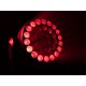 EUROLITE LED TMH-W555: Testa Mobile Wash Zoom RGBW con 37 LED per Effetti Scenografici