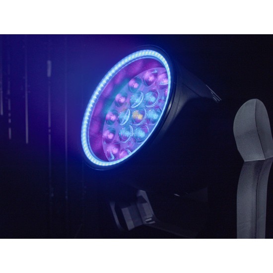 EUROLITE LED IP TMH-W285 Hypno Moving Head Wash: Proiettore LED RGBW per Illuminazione Scenografica