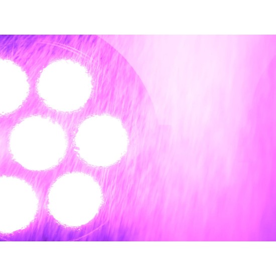 EUROLITE LED IP PAR 7x8W QCL: Proiettore LED da Palco Impermeabile per Effetti Luce Scenografici