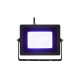 EUROLITE Proiettore LED IP65 30W Blu per Esterni - 60 SMD 5730