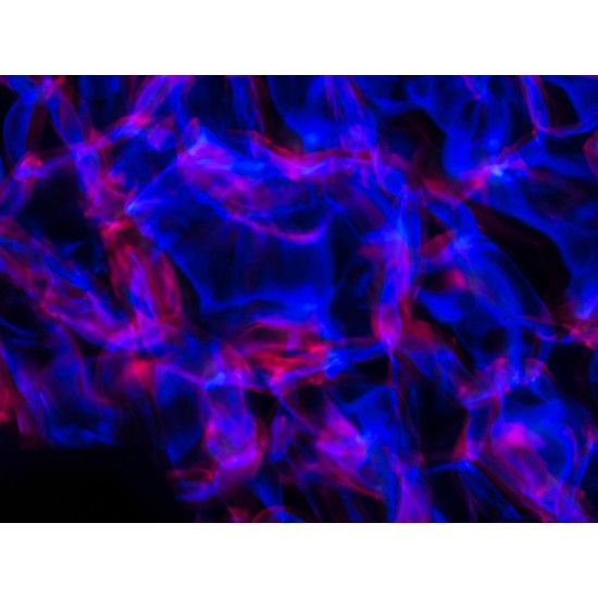 EUROLITE LED WF-40: Proiettore Effetto Acqua con Controllo DMX e LED RGBW