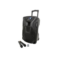 Cassa Acustica Attiva Amplificata Karaoke Portatile Ricaricabile con Bluetooth, Radio, Echo, USB, SD, MP3, Microfoni Wireless, Ingresso Chitarra, Equalizzatore (12'')