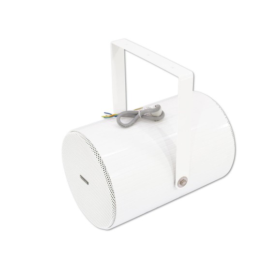 OMNITRONIC PS-30: Altoparlante Proiettore da Esterni IP44, 2x5