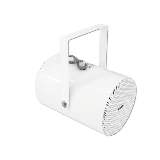 OMNITRONIC PS-30: Altoparlante Proiettore da Esterni IP44, 2x5