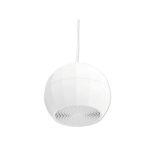 OMNITRONIC WP-2H Proiettore Audio da Soffitto 5