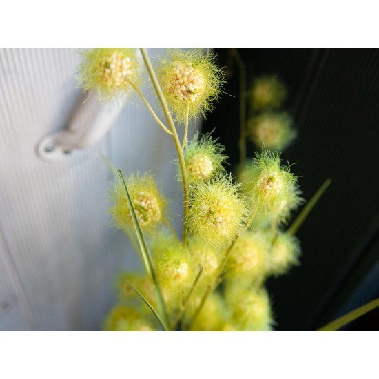 Allium Grass Artificiale EUROPALMS, 122 cm - Decorazione Verde Realistica