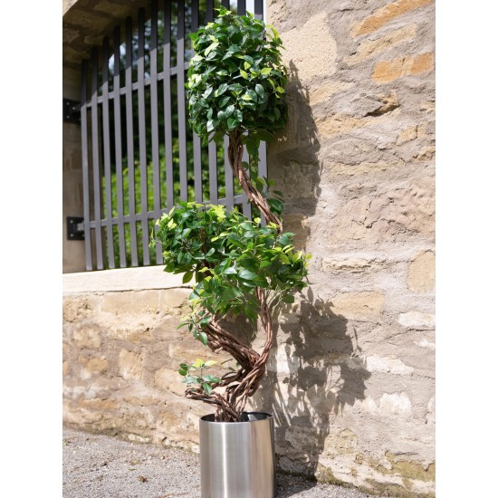 EUROPALMS Ficus Multi a Spirale 160 cm - Pianta Artificiale Realistica con Tronco Naturale e 1485 Foglie