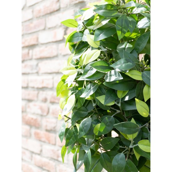 EUROPALMS Ficus Multi a Spirale 160 cm - Pianta Artificiale Realistica con Tronco Naturale e 1485 Foglie