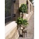EUROPALMS Ficus Multi a Spirale 160 cm - Pianta Artificiale Realistica con Tronco Naturale e 1485 Foglie