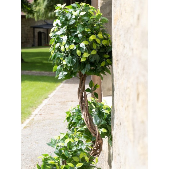 EUROPALMS Ficus Multi a Spirale 160 cm - Pianta Artificiale Realistica con Tronco Naturale e 1485 Foglie