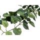 EUROPALMS Pothos Bush Tendril Classic Artificiale 70cm - Decorazione Verde/Giallo Realistica