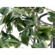 EUROPALMS Philo Bush Classic Artificiale 60cm - Foliage Realistico per Decorazioni Interne