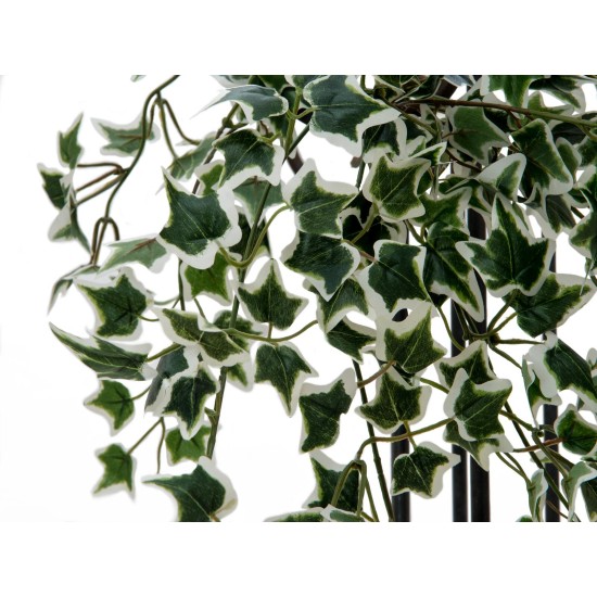 EUROPALMS Holland Ivy Bush Artificiale 60cm - Realistico Verde/Bianco, Foglie Densamente Disposte
